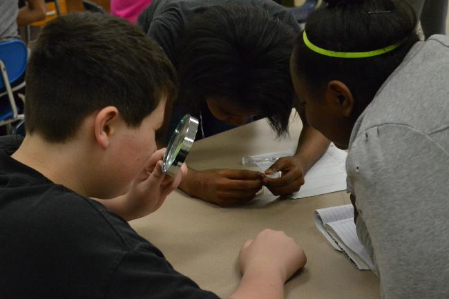 Students examining American shad eggs (Cedar Creek Middle School)